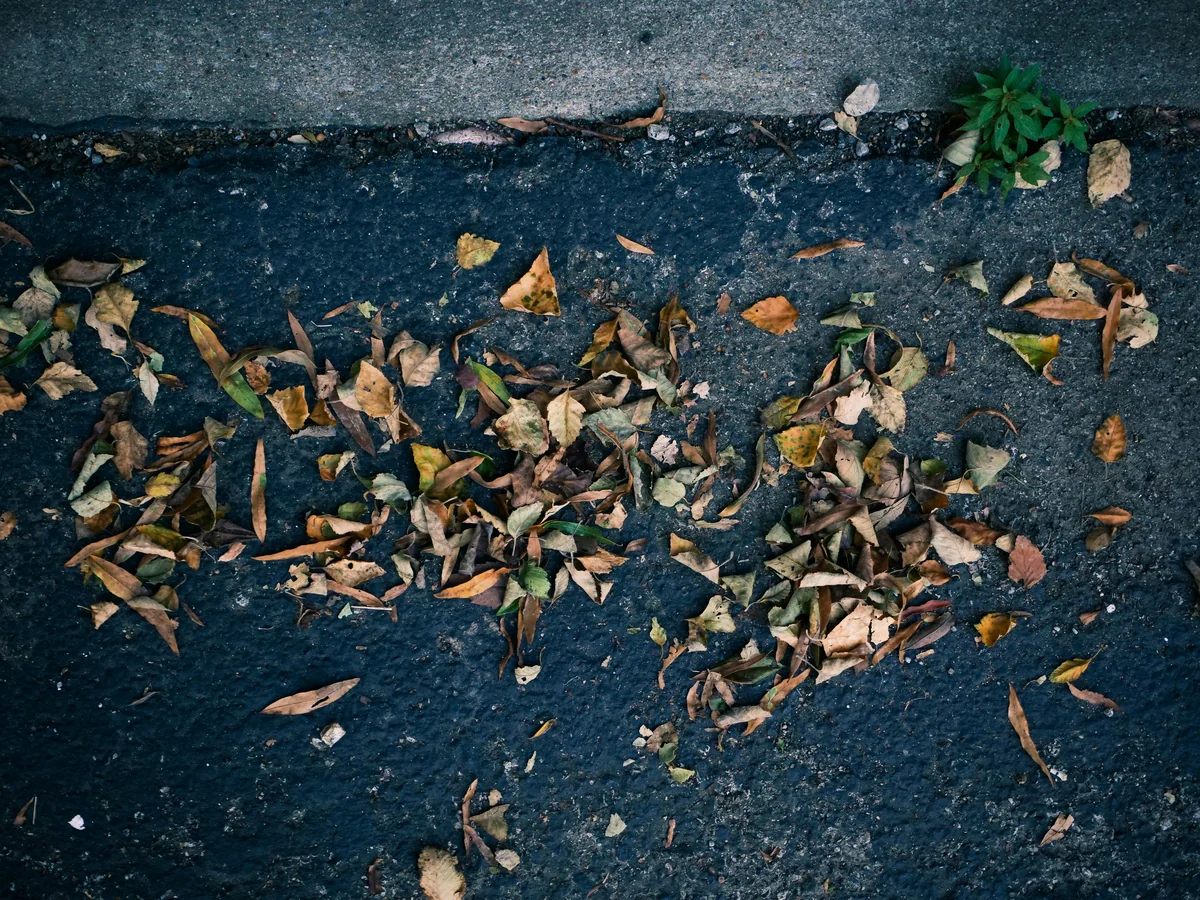 Old cracked asphalt driveway needing replacement